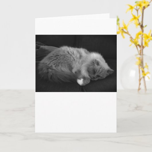 低速日、カード カード (黄色い花)