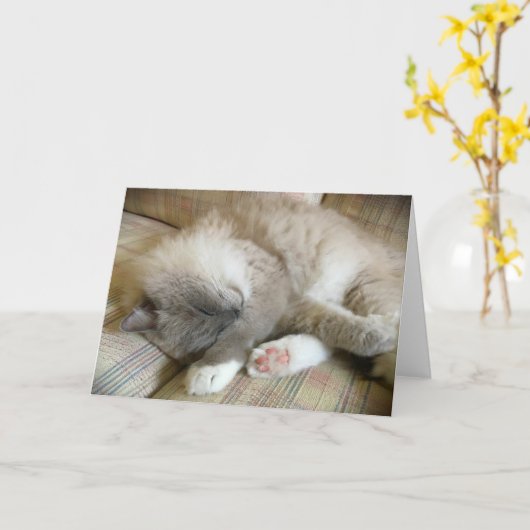 低速日、カード カード (黄色い花)