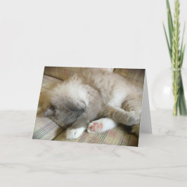 低速日、カード カード