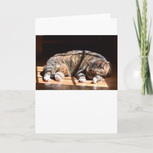 低速日、カード カード (正面)