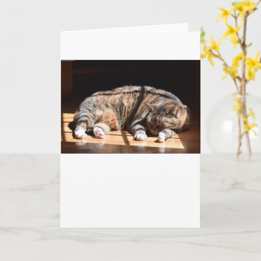 低速日、カード カード (黄色い花)