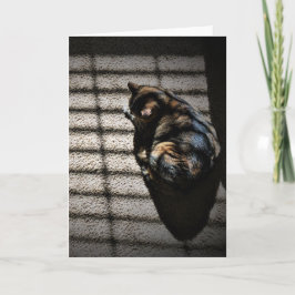 低速日、カード カード