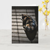 低速日、カード カード (黄色い花)