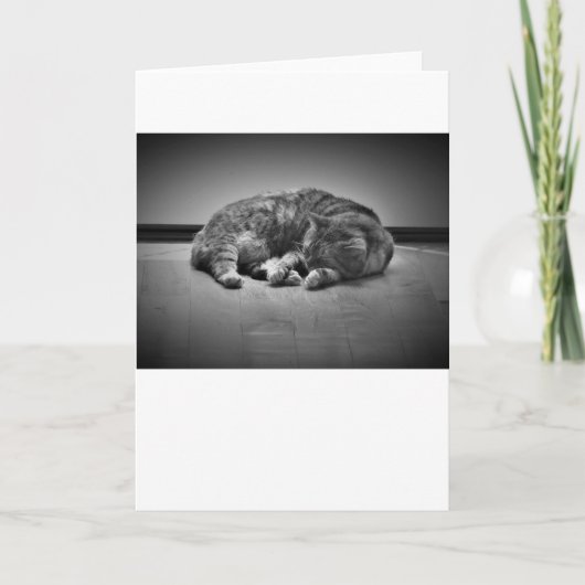 低速日、カード カード (正面)