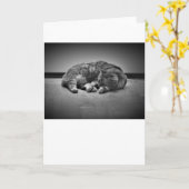 低速日、カード カード (黄色い花)