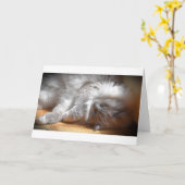 低速日、カード カード (黄色い花)