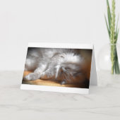 低速日、カード カード (正面)