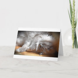 低速日、カード カード