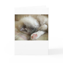 低速日、カード