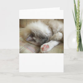 低速日、カード カード