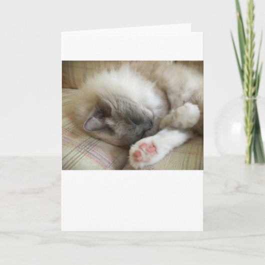 低速日、カード カード (正面)