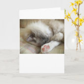 低速日、カード カード (黄色い花)