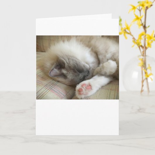 低速日、カード カード (黄色い花)