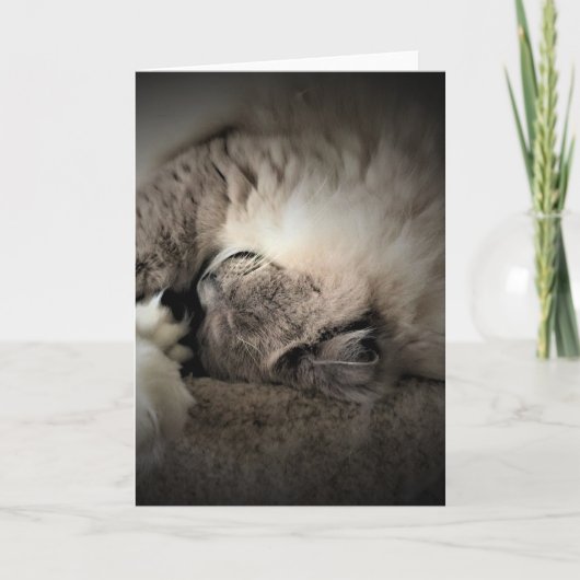 低速日、カード カード (正面)