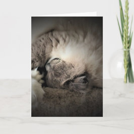 低速日、カード カード