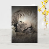 低速日、カード カード (黄色い花)