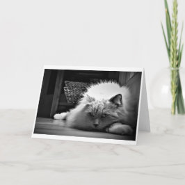 低速日、カード カード