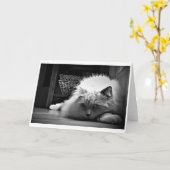 低速日、カード カード (黄色い花)