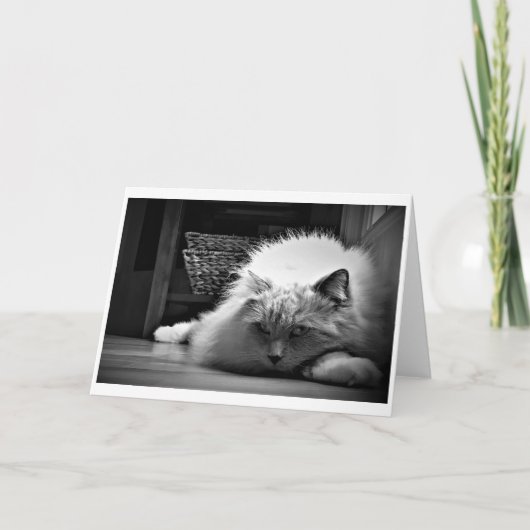 低速日、カード カード (正面)