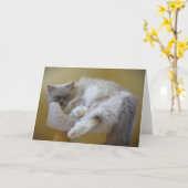 低速日、カード カード (黄色い花)