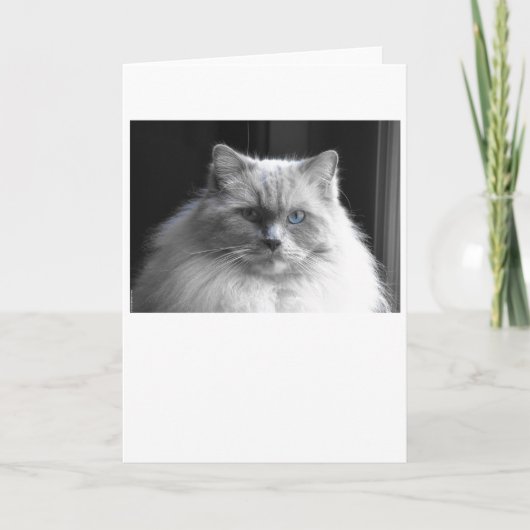 低速日、カード カード (正面)