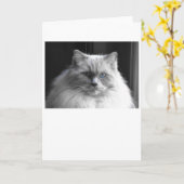 低速日、カード カード (黄色い花)