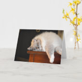 低速日、カード カード (黄色い花)