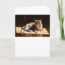 低速日、カード カード