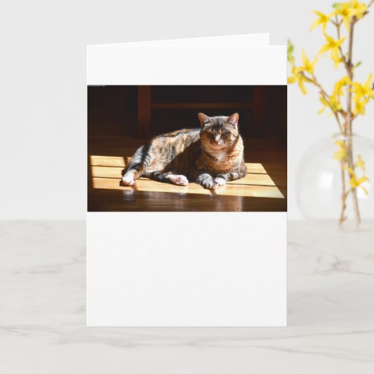 低速日、カード カード (黄色い花)