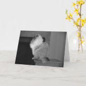 低速日、カード カード (黄色い花)