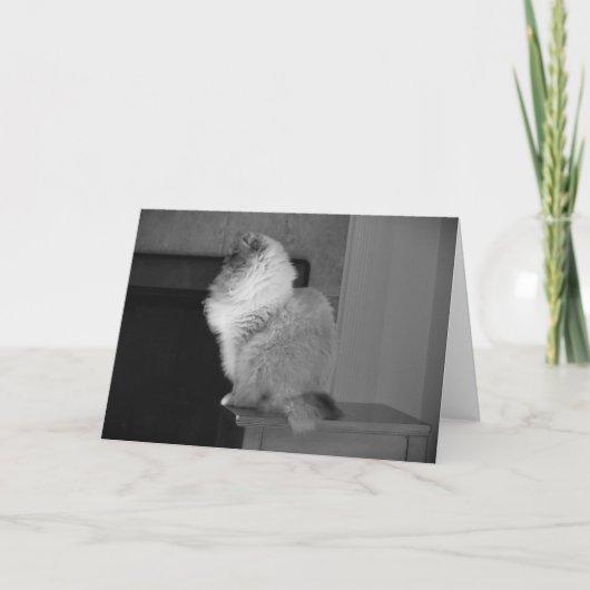 低速日、カード カード (正面)