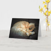 低速日、カード カード (黄色い花)