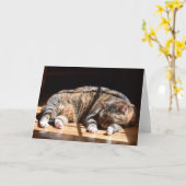 低速日、カード カード (黄色い花)