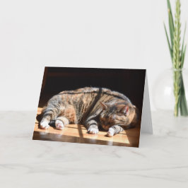 低速日、カード カード