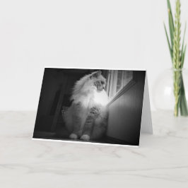 低速日、カード カード