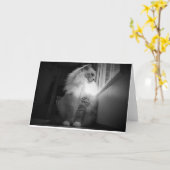 低速日、カード カード (黄色い花)