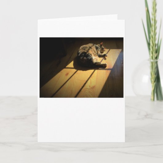 低速日、カード カード (正面)