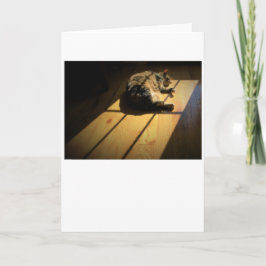 低速日、カード カード