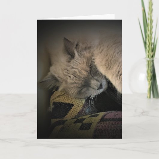 低速日、カード カード (正面)