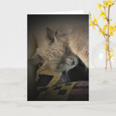 低速日、カード カード (黄色い花)