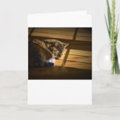 低速日、カード カード (正面)