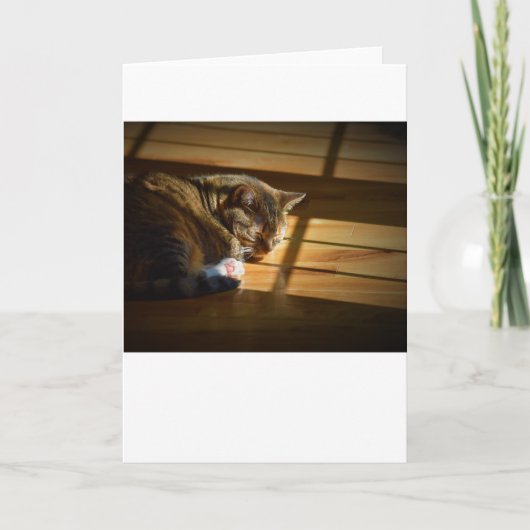 低速日、カード カード (正面)