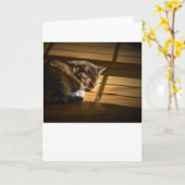 低速日、カード カード (黄色い花)