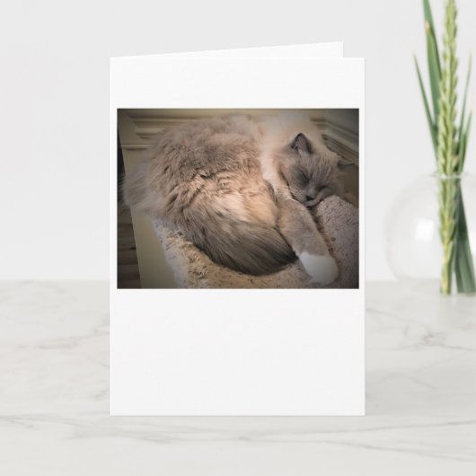 低速日、カード カード (正面)