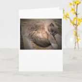 低速日、カード カード (黄色い花)