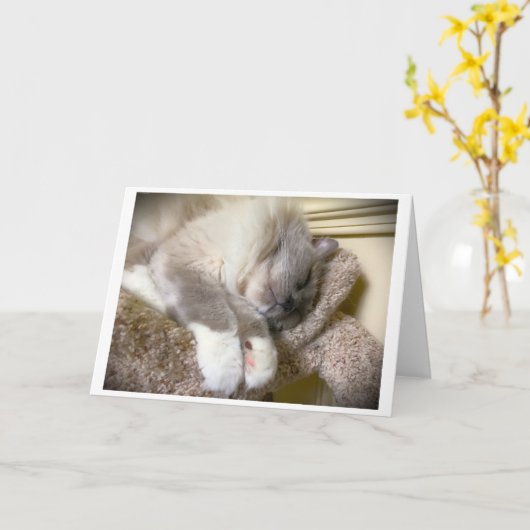 低速日、カード カード (黄色い花)