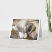 低速日、カード カード (正面)