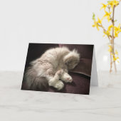 低速日、カード カード (黄色い花)