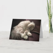 低速日、カード カード (正面)