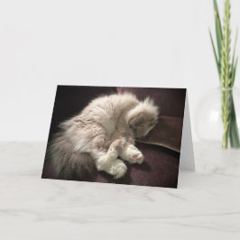 低速日、カード カード